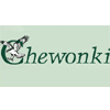 Camp Chewonki for boys