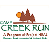 Camp Creek Run