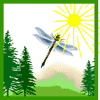 -Three Pines Day Camp