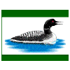 -Camp Laughing Loon