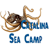 Catalina Sea Camp