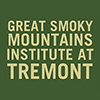 Tremont Summer Camp in the Smokies